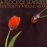 The Story Of A Young Heart