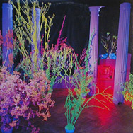 Warehouse: Songs And Stories