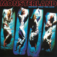 Destroy What You Love