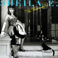 In The Glamorous Life