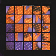 Pauline Murray And The Invisible Girls