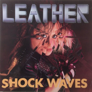 Shock Waves