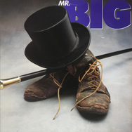 Mr. Big