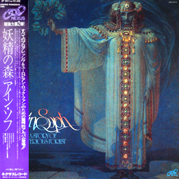 A Story Of Mysterious Forest